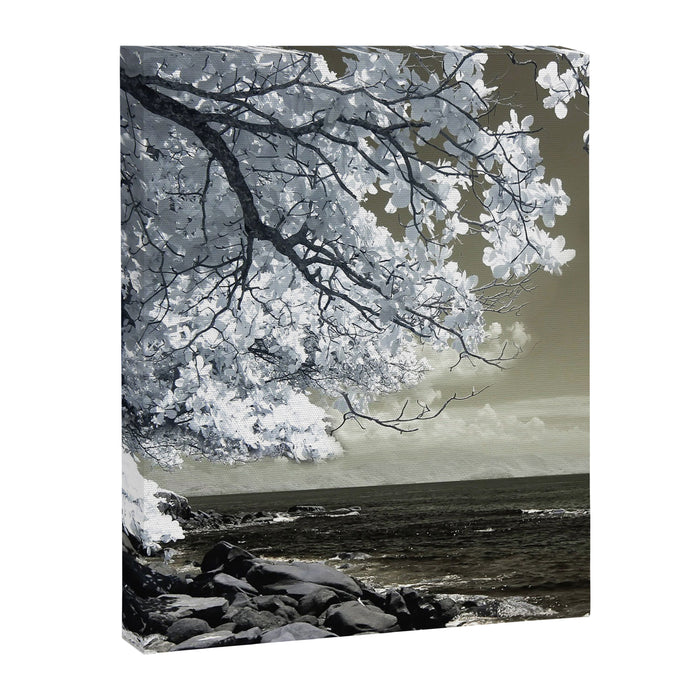 Coast 14 Canvas Print Gallery Image 1