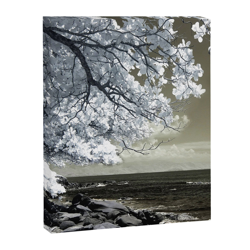 Coast 14 Canvas Print Gallery Image 6
