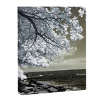 Coast 14 Canvas Print Gallery Image 6