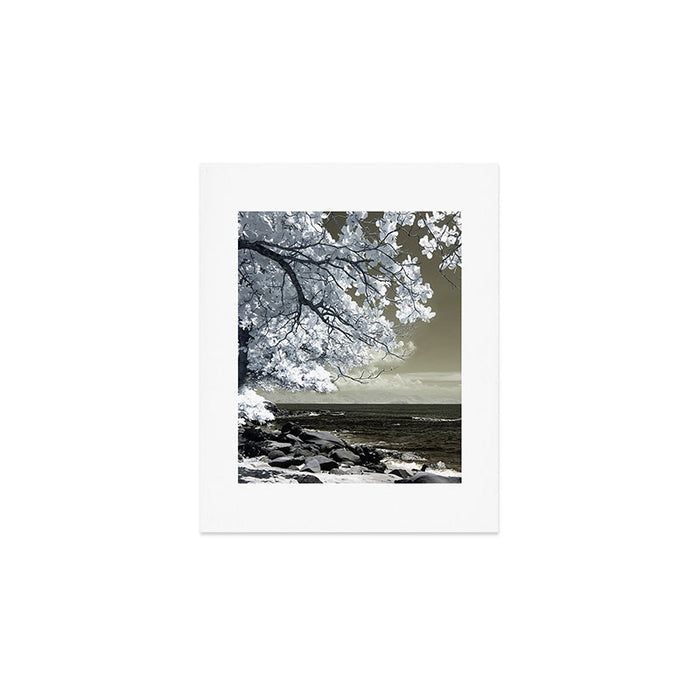 Coast 14 Art Print Gallery Image 1