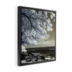 Coast 14 Framed Canvas Print Gallery Image 2