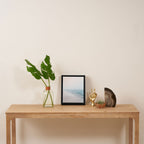 Coast 21 Framed Canvas Print Gallery Image 4