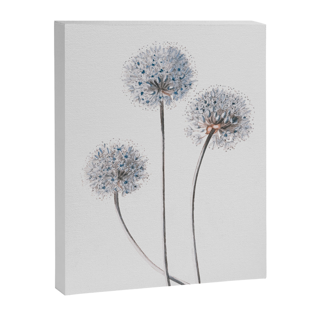Dandelion 2 Canvas Print Gallery Image 6