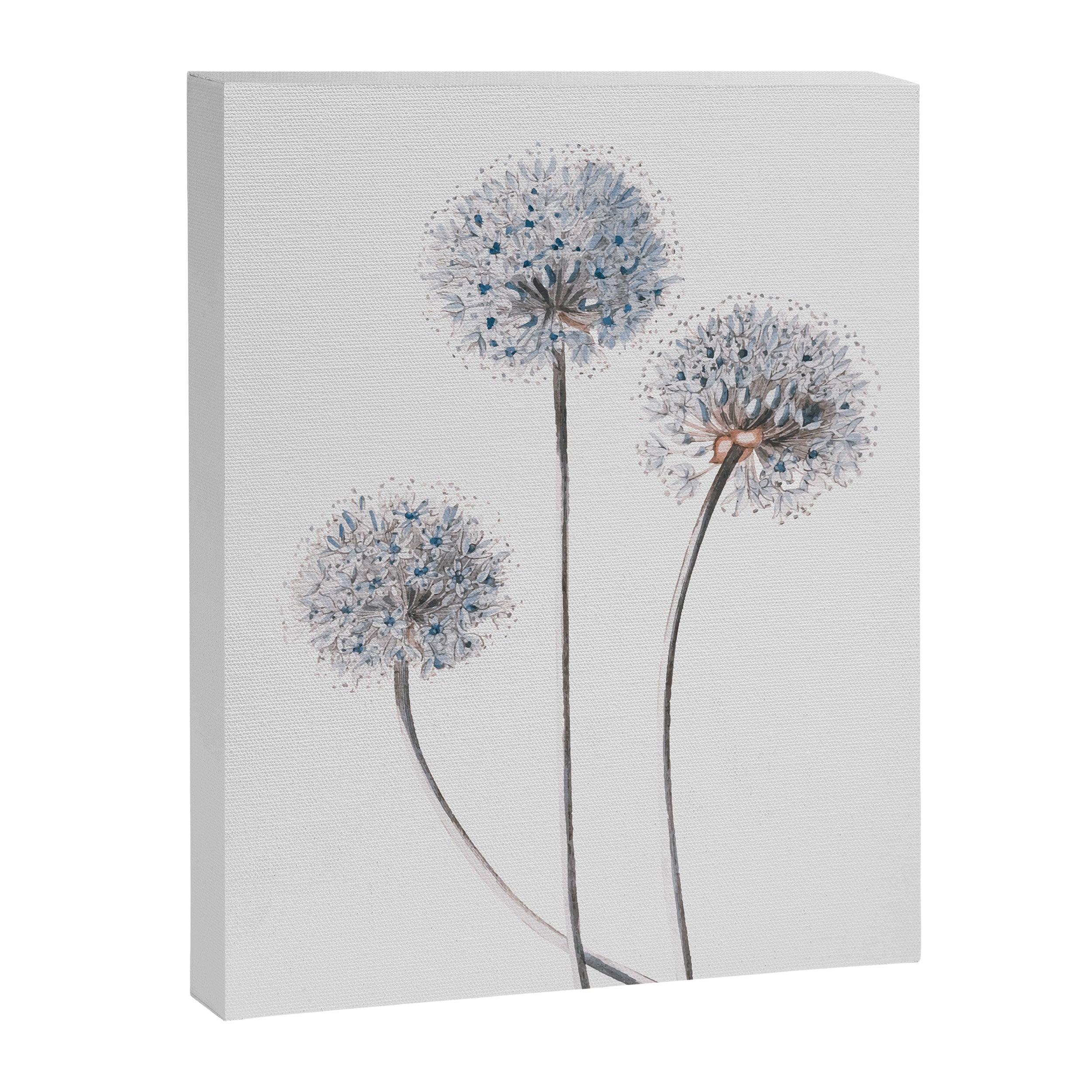 Dandelion 2 Canvas Print Gallery Image 6