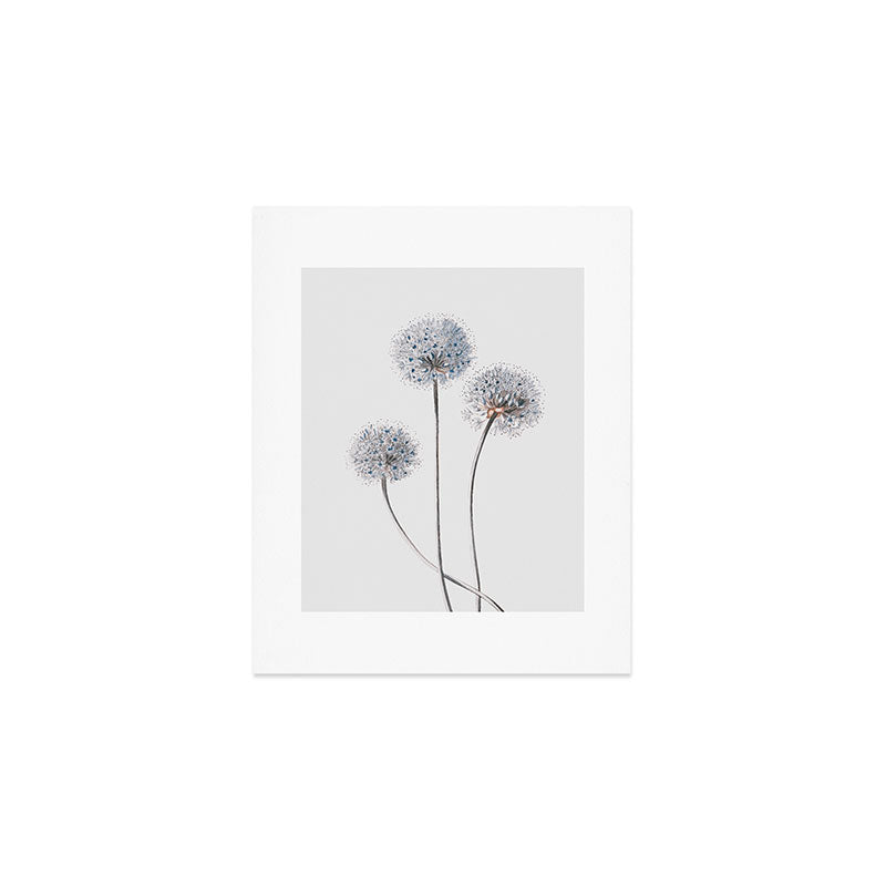 Dandelion 2 Art Print Gallery Image 1
