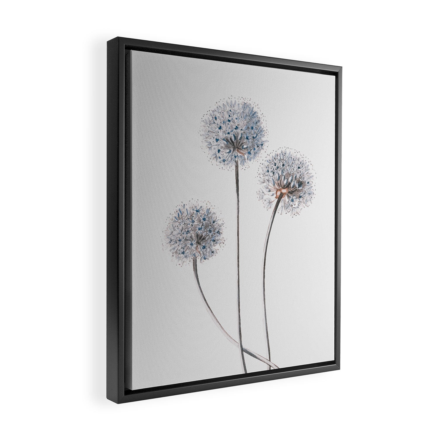 Dandelion 2 Framed Canvas Print Gallery Image 2