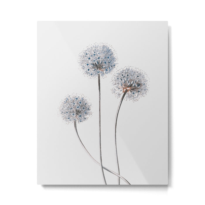 Dandelion 2 Metal Print Gallery Image 1