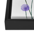 Dandelion Framed Canvas Print Gallery Image 3