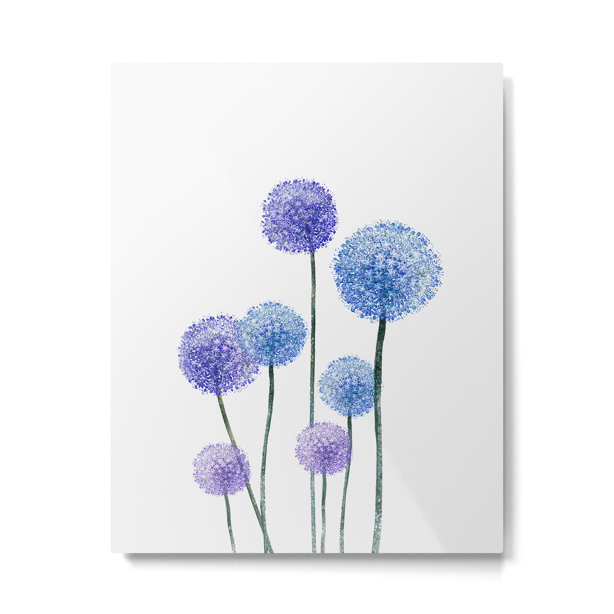 Dandelion Metal Print Gallery Image 4
