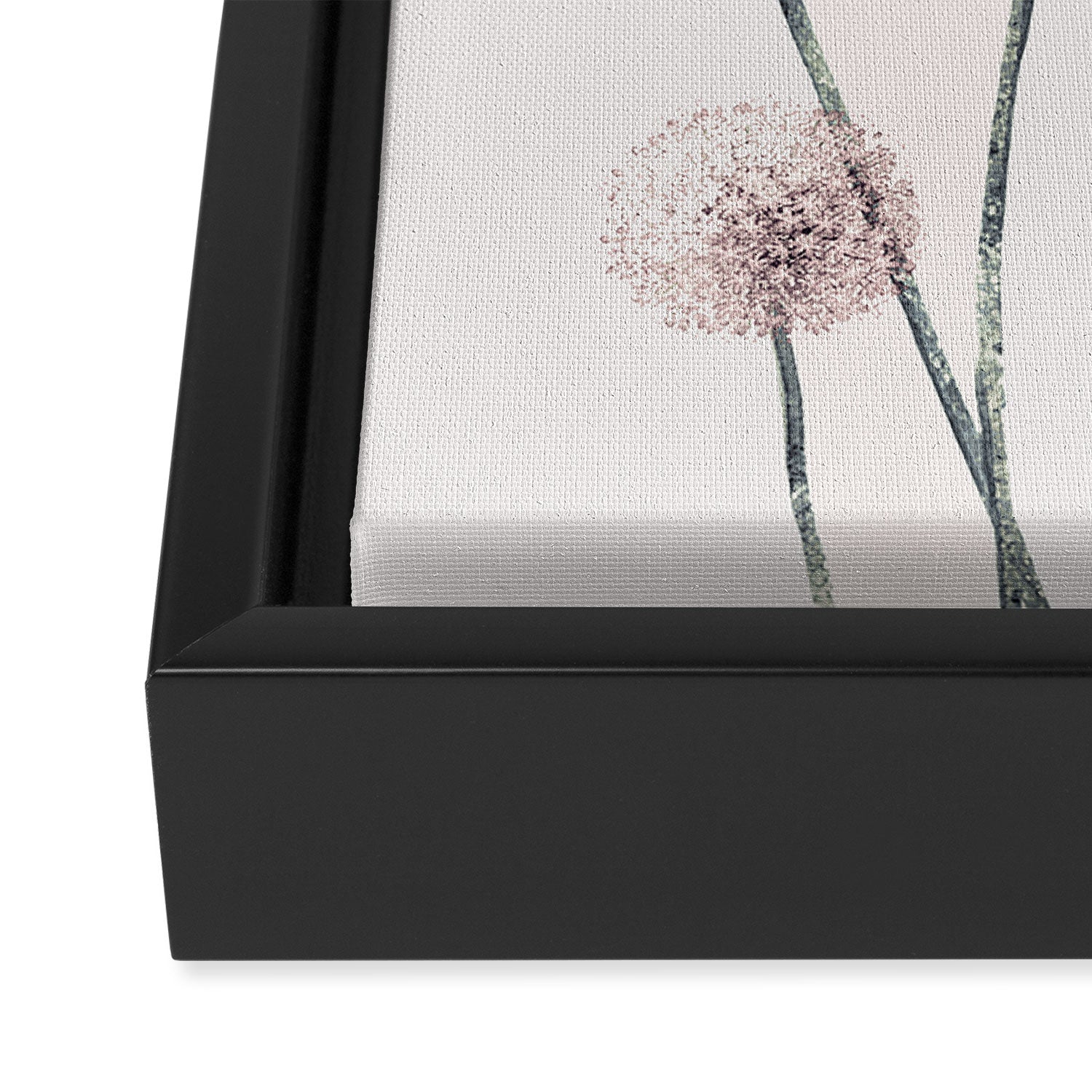 Dandelions Framed Canvas Print Gallery Image 3