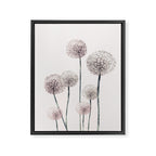 Dandelions Framed Canvas Print Gallery Image 6