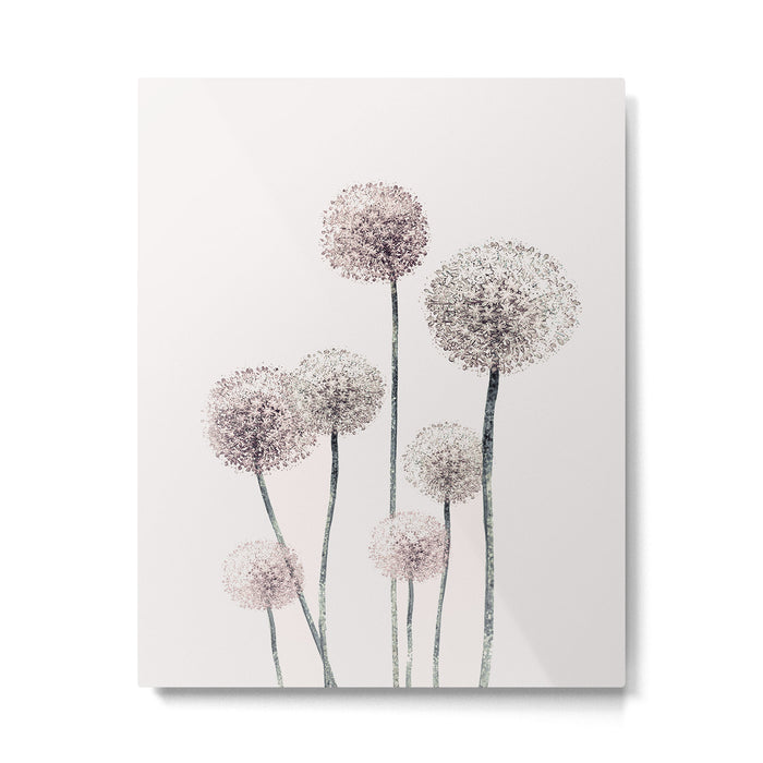 Dandelions Metal Print Gallery Image 1