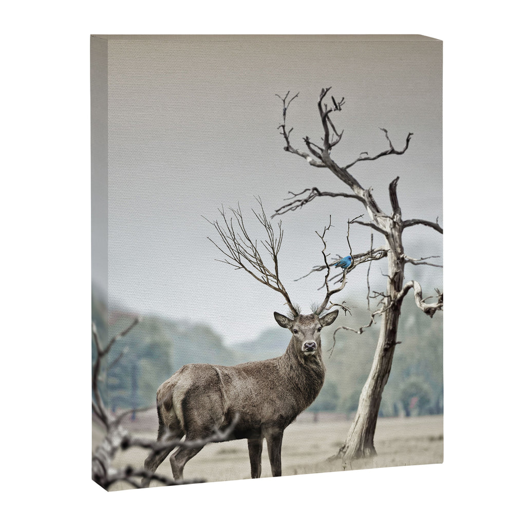 Deer Canvas Print Gallery Image 6