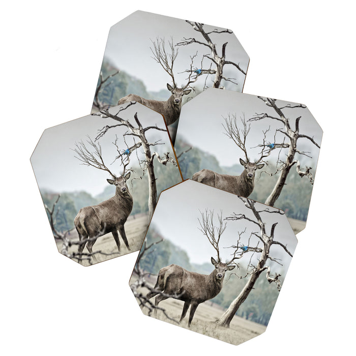 Deer Coaster Gallery Image 1