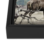 Deer Framed Canvas Print Gallery Image 3