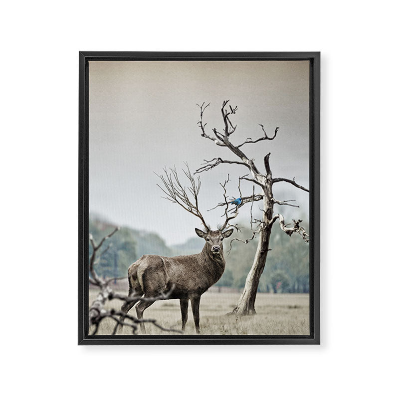 Deer Framed Canvas Print Gallery Image 6