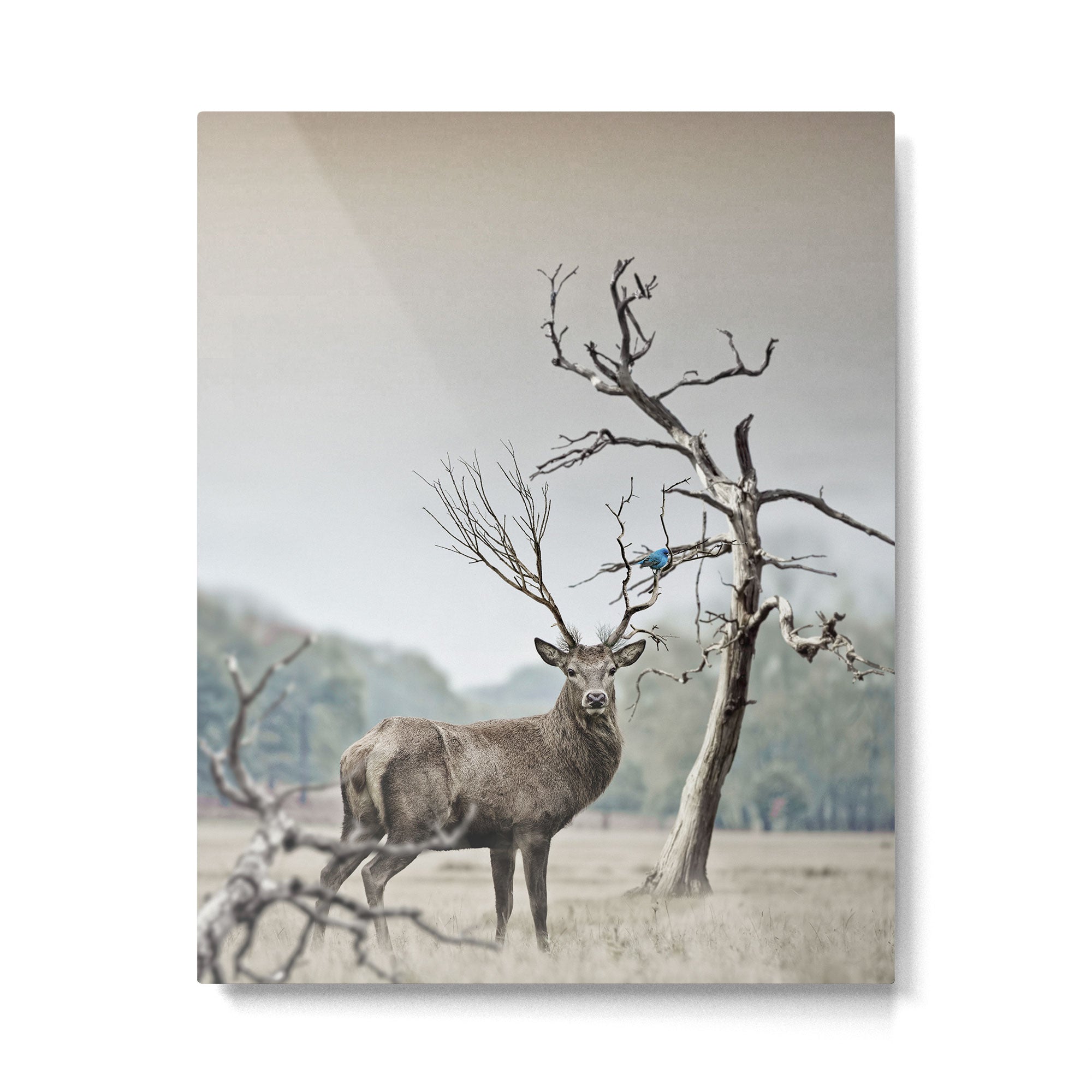 Deer Metal Print Gallery Image 4