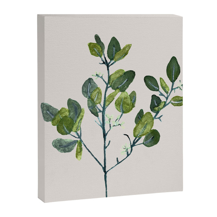 Eucalyptus Branch Canvas Print Gallery Image 1