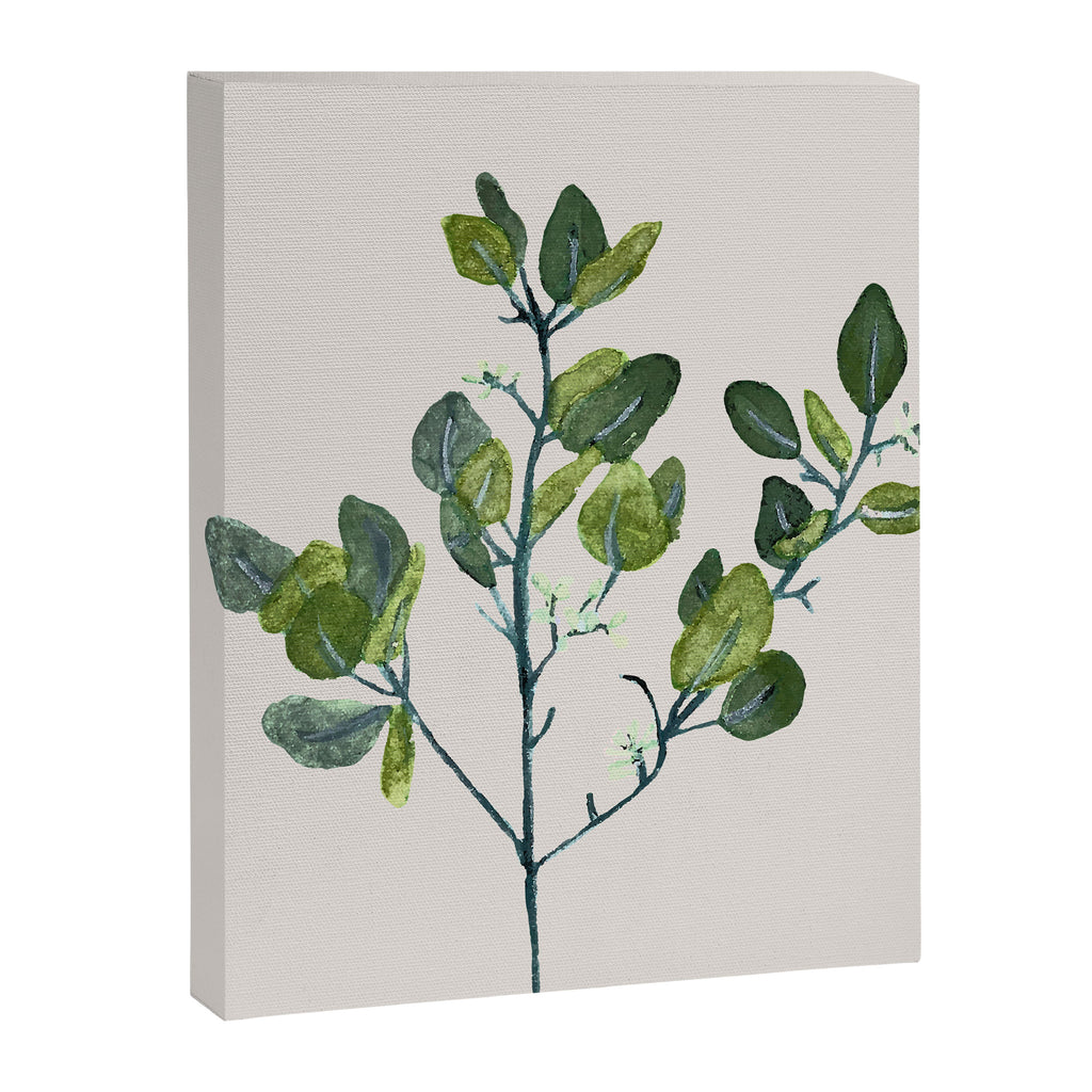 Eucalyptus Branch Canvas Print Gallery Image 6