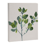 Eucalyptus Branch Canvas Print Gallery Image 6