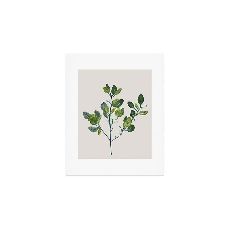 Eucalyptus Branch Art Print Gallery Image 1