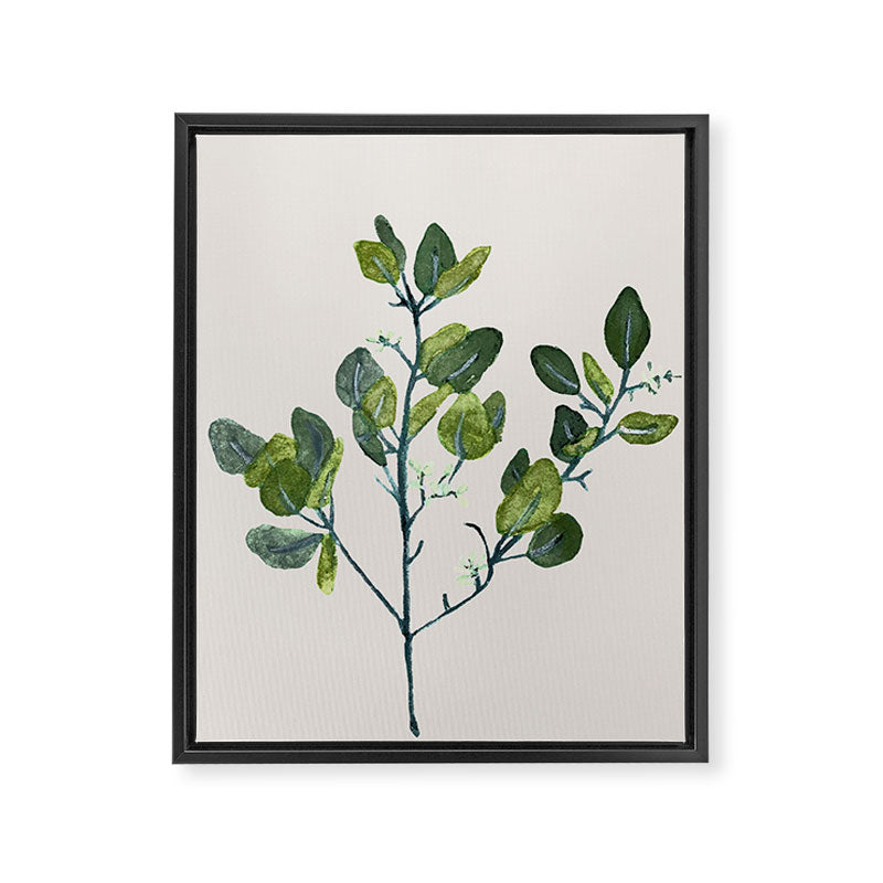 Eucalyptus Branch Framed Canvas Print Gallery Image 6