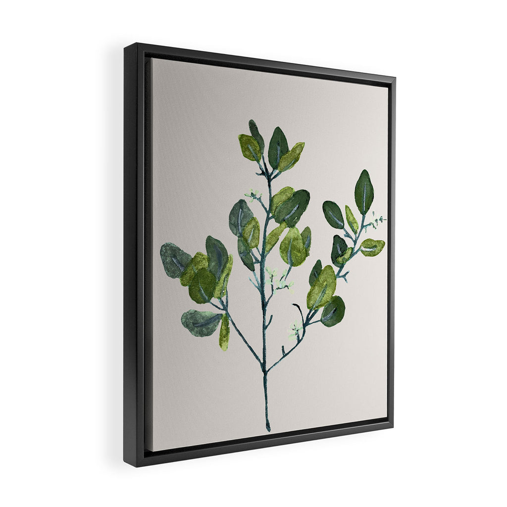 Eucalyptus Branch Framed Canvas Print Gallery Image 2