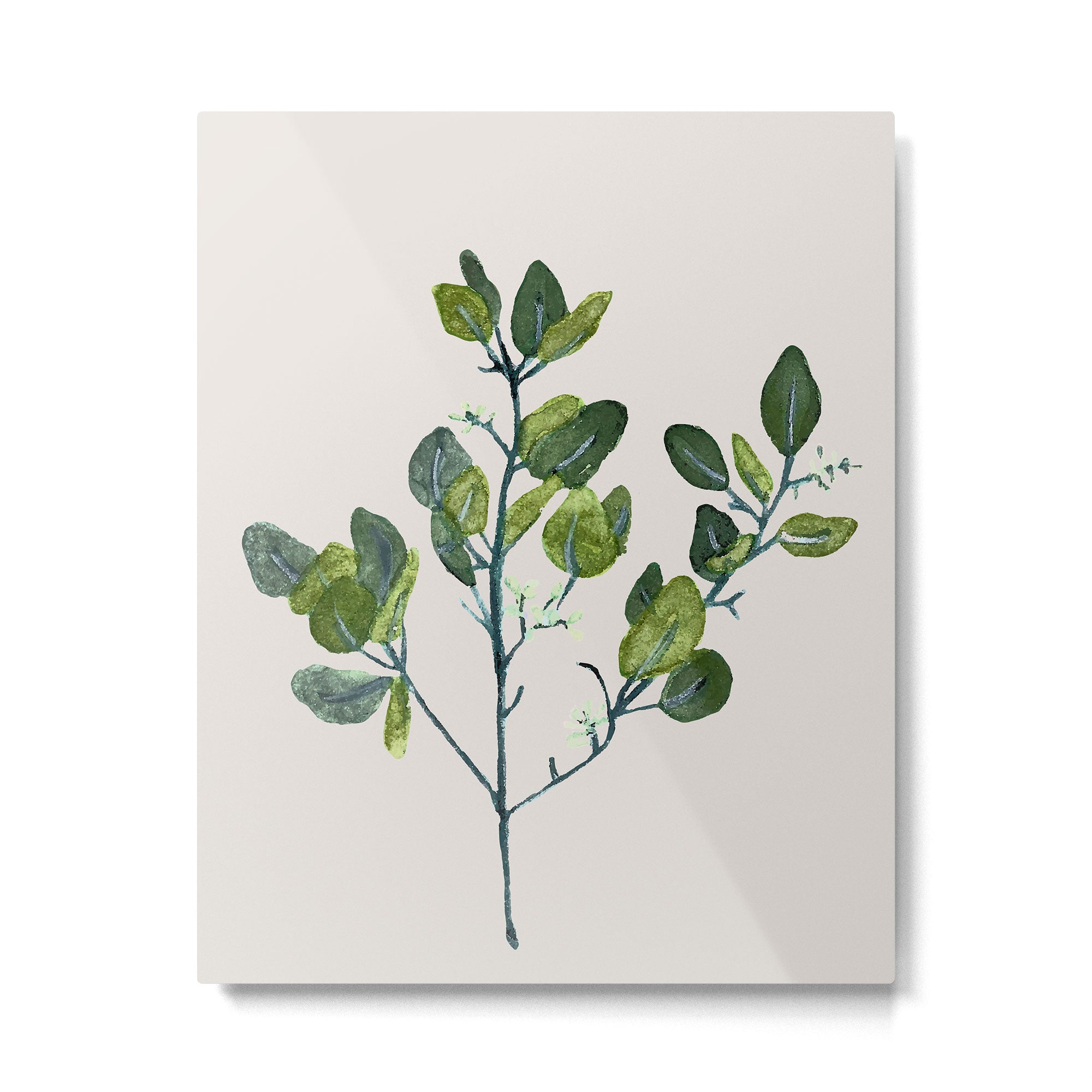 Eucalyptus Branch Metal Print Gallery Image 4