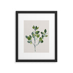 Eucalyptus Branch Framed Art Print Gallery Image 5