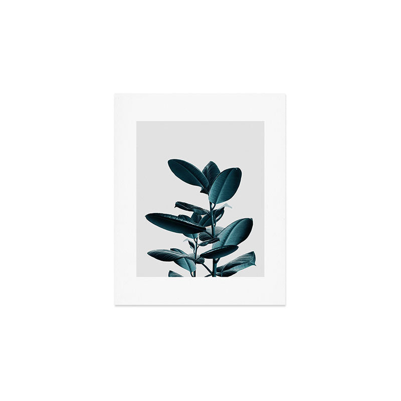 Ficus Art Print Gallery Image 1