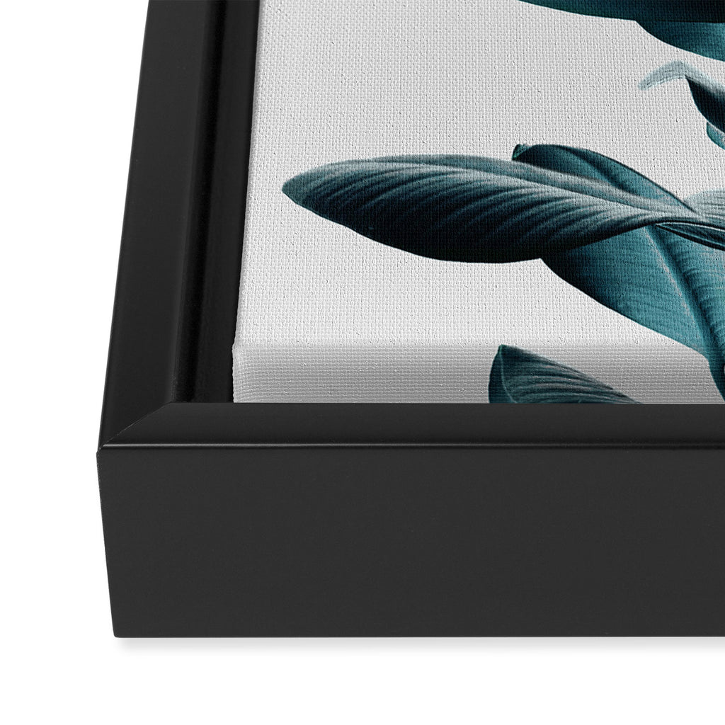 Ficus Framed Canvas Print Gallery Image 3