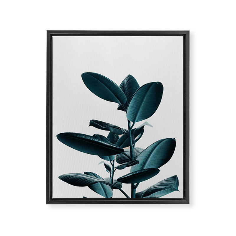 Ficus Framed Canvas Print Gallery Image 6