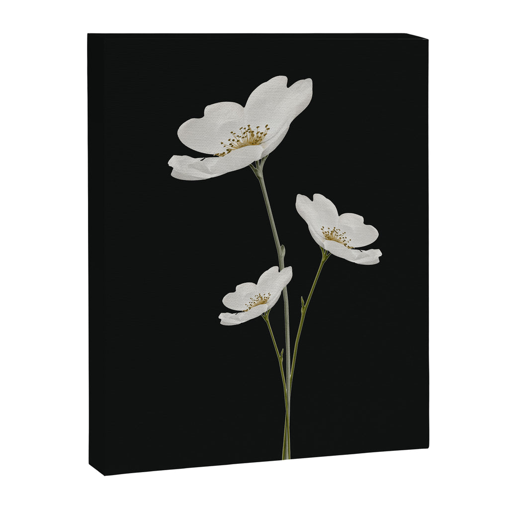 Flowers 5 Canvas Print Gallery Image 6
