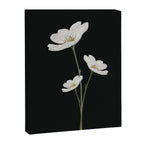 Flowers 5 Canvas Print Gallery Image 6