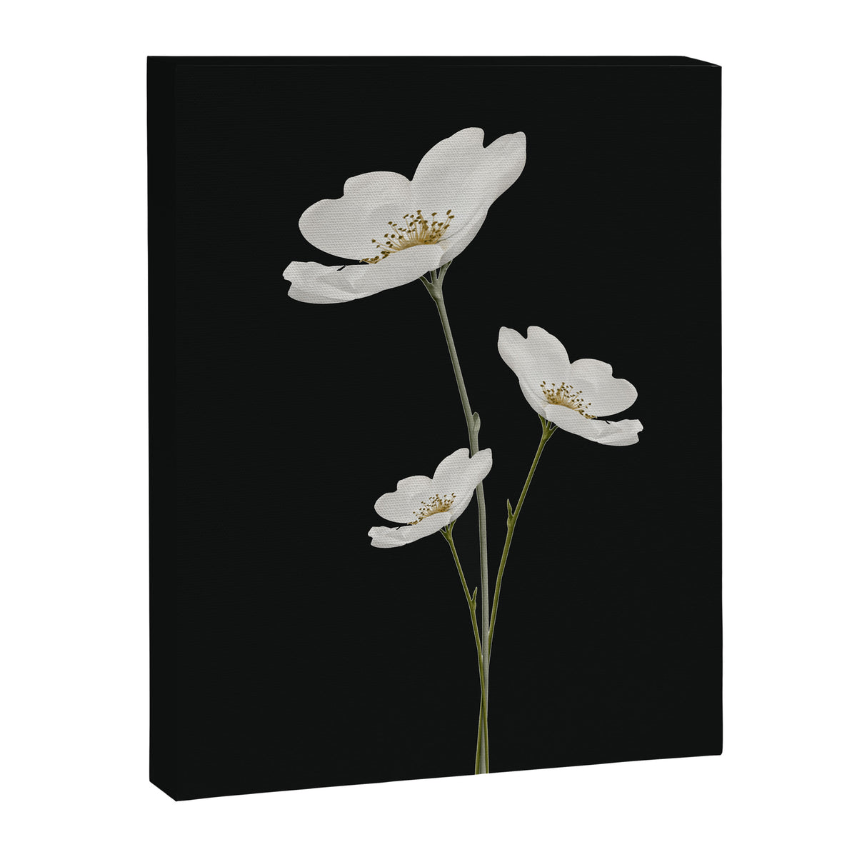 Flowers 5 Canvas Print Gallery Image 6