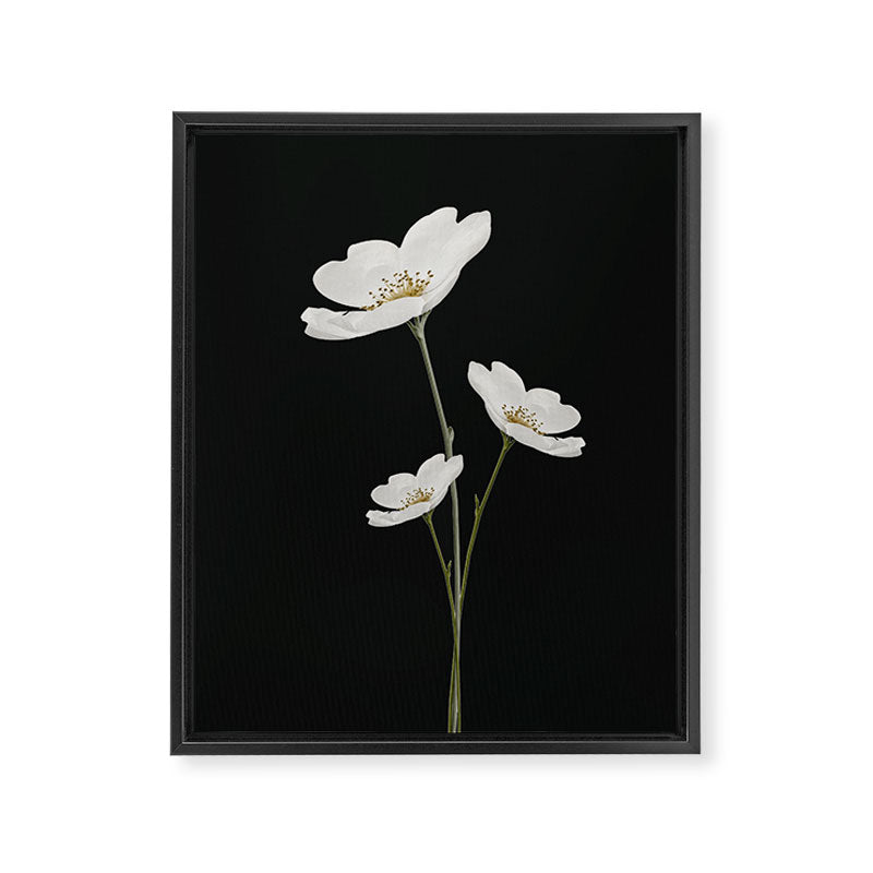 Flowers 5 Framed Canvas Print Gallery Image 6