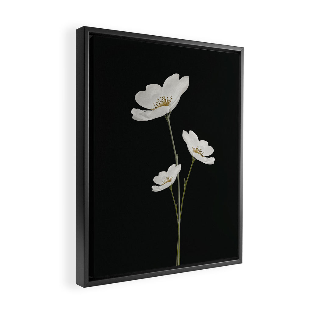 Flowers 5 Framed Canvas Print Gallery Image 2