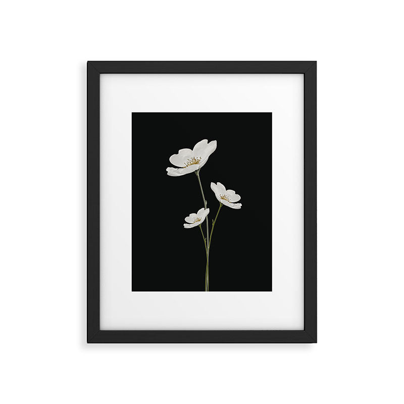 Flowers 5 Framed Art Print Gallery Image 5