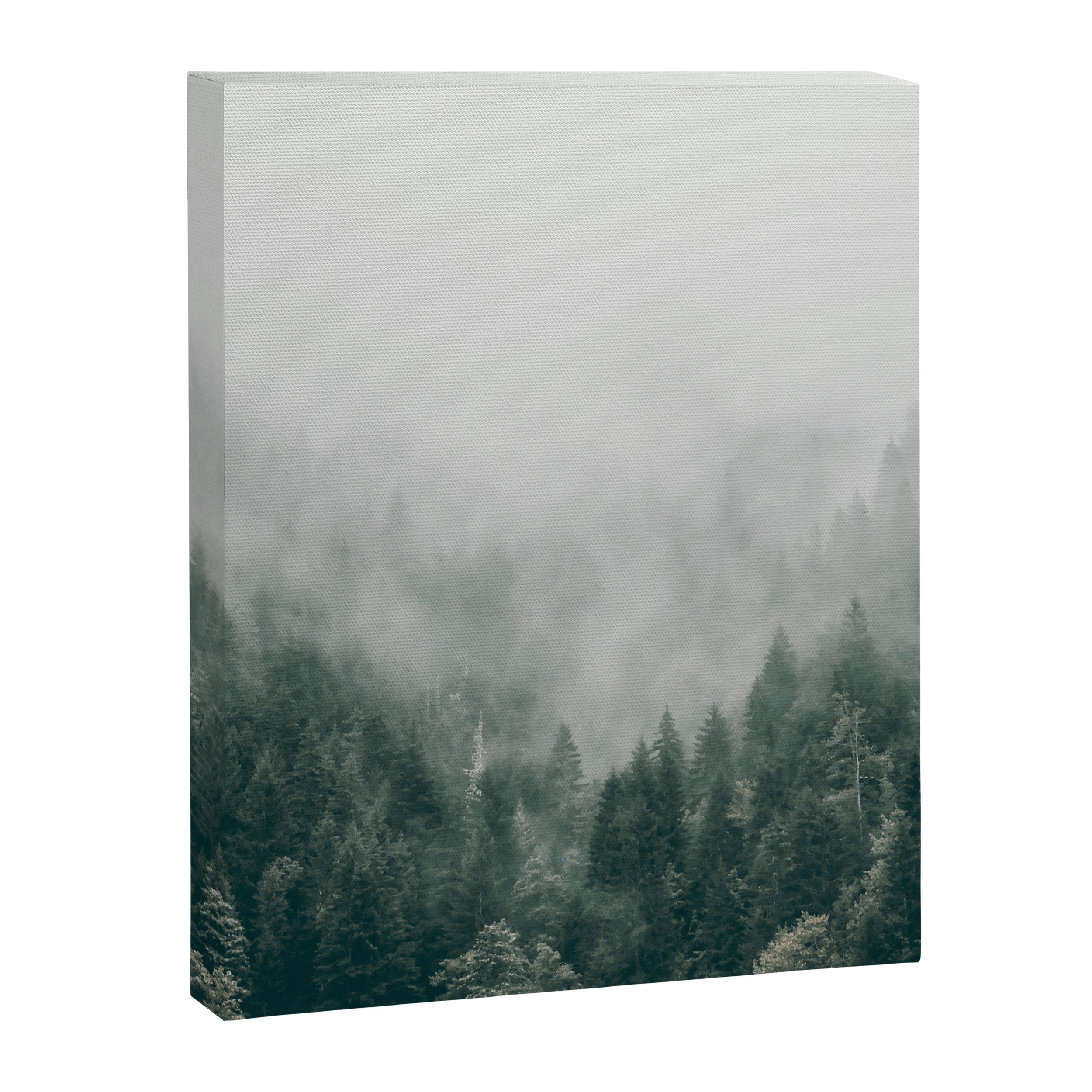 Foggy Forest 3 Canvas Print Gallery Image 6