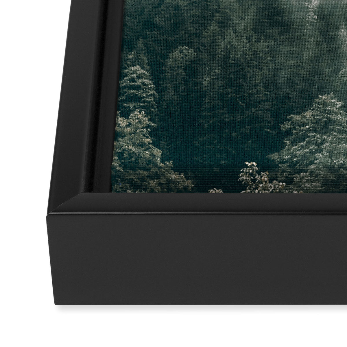 Foggy Forest 3 Framed Canvas Print Gallery Image 3
