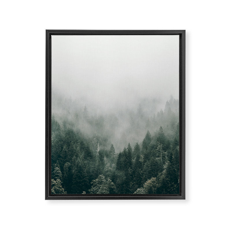 Foggy Forest 3 Framed Canvas Print Gallery Image 6