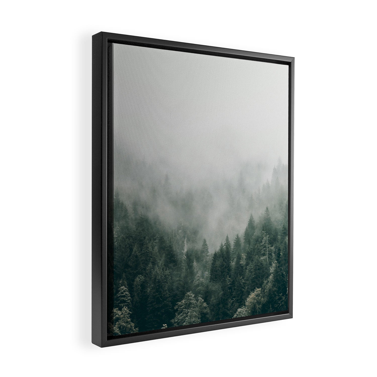 Foggy Forest 3 Framed Canvas Print Gallery Image 2