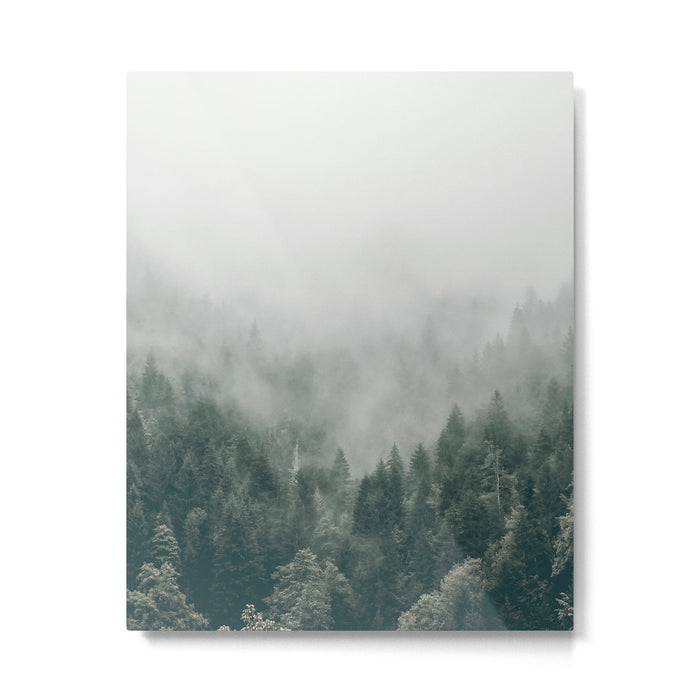 Foggy Forest 3 Metal Print Gallery Image 1