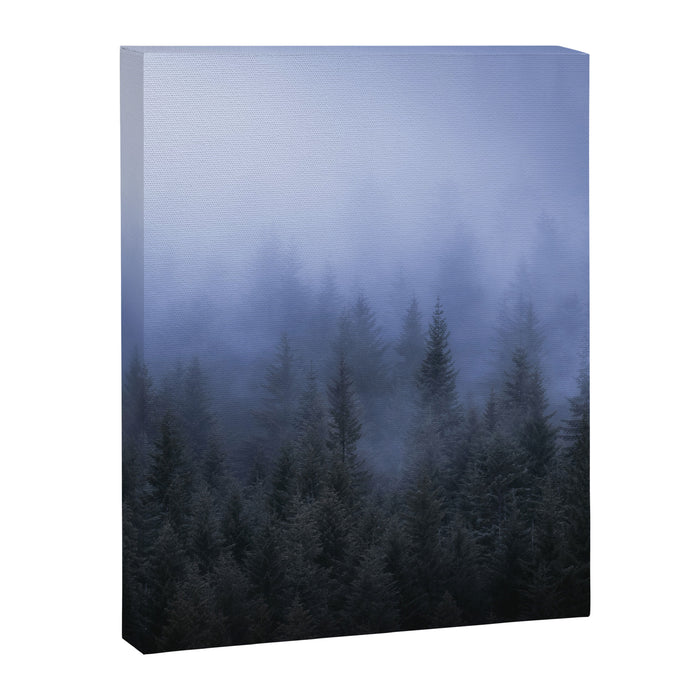 Foggy Forest Canvas Print Gallery Image 1