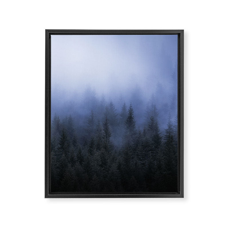 Foggy Forest Framed Canvas Print Gallery Image 6