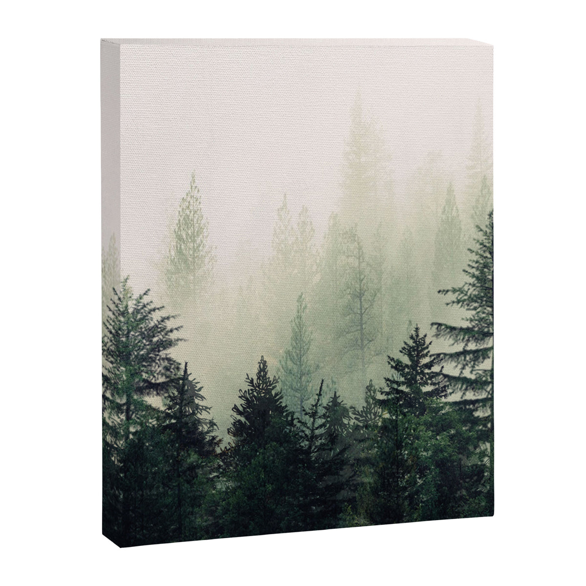 Foggy Pine Trees Canvas Print Gallery Image 6