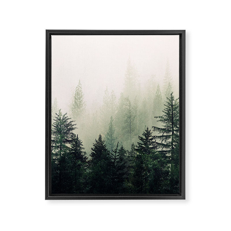 Foggy Pine Trees Framed Canvas Print Gallery Image 6