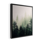 Foggy Pine Trees Framed Canvas Print Gallery Image 2