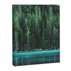Forest 3 Canvas Print Gallery Image 6