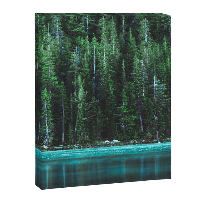 Forest 3 Canvas Print Gallery Image 1